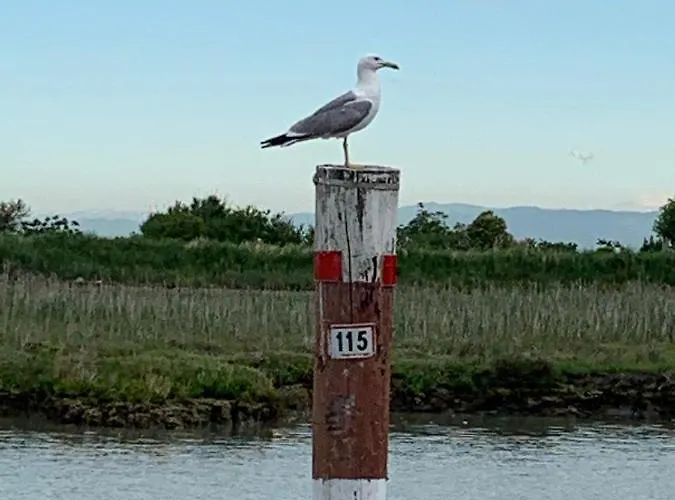 Guest house Nac Porpetto